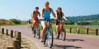  Servicio de renta de bicicletas 